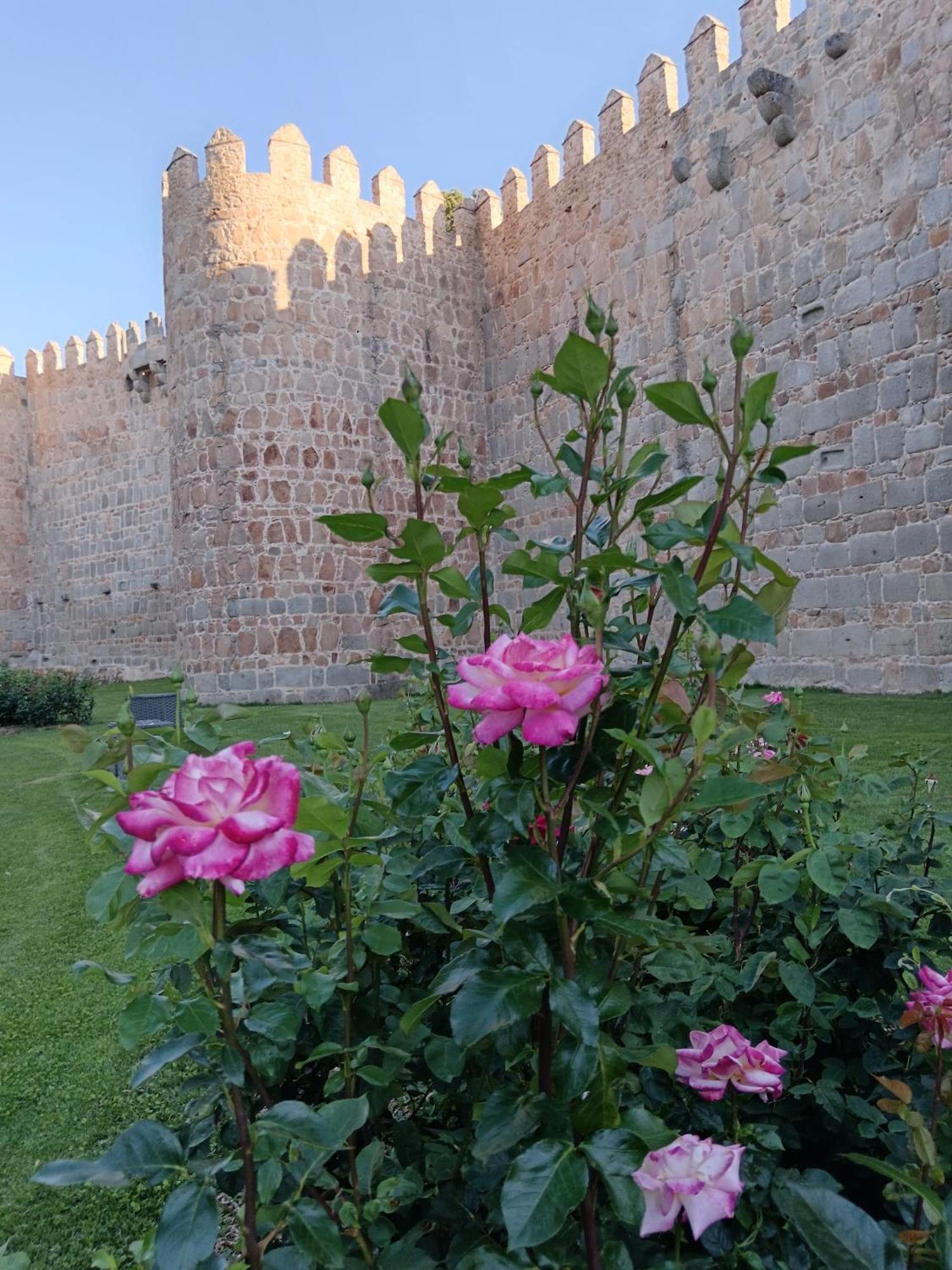 Hotel Don Carmelo Ávila المظهر الخارجي الصورة